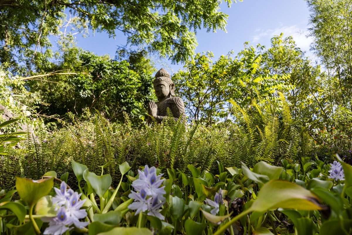 Gardens and grounds