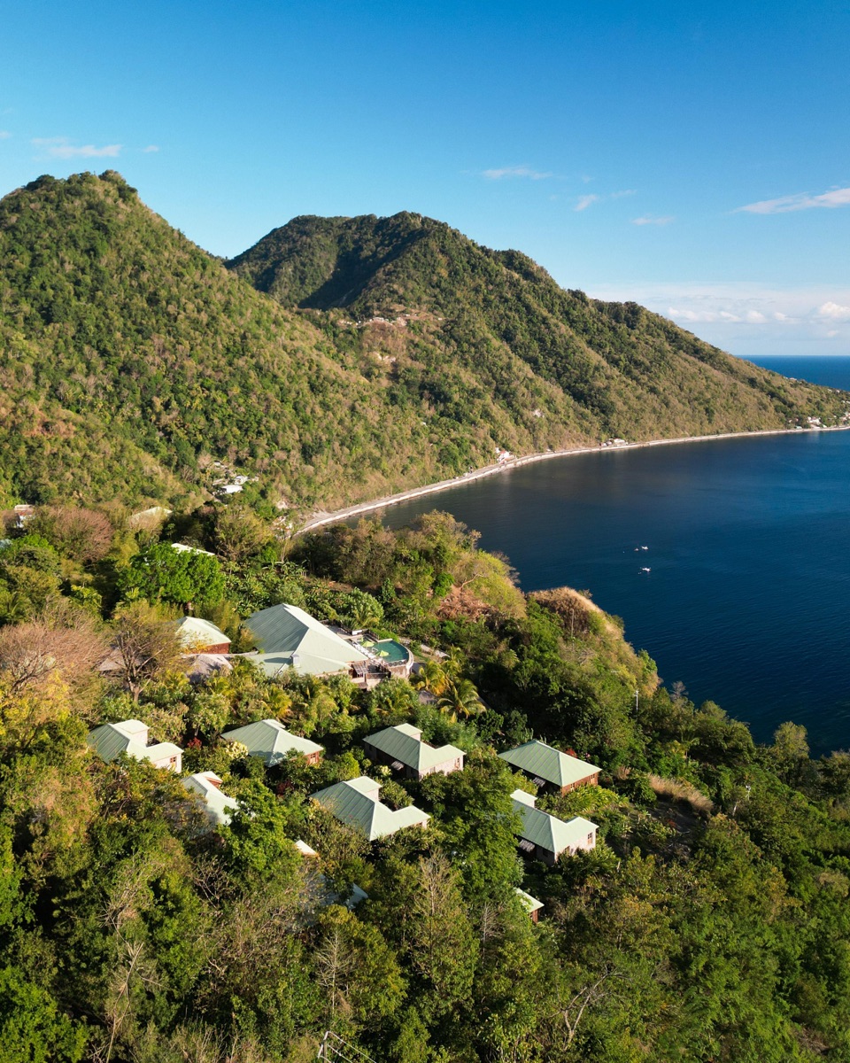 Villas in the canopy