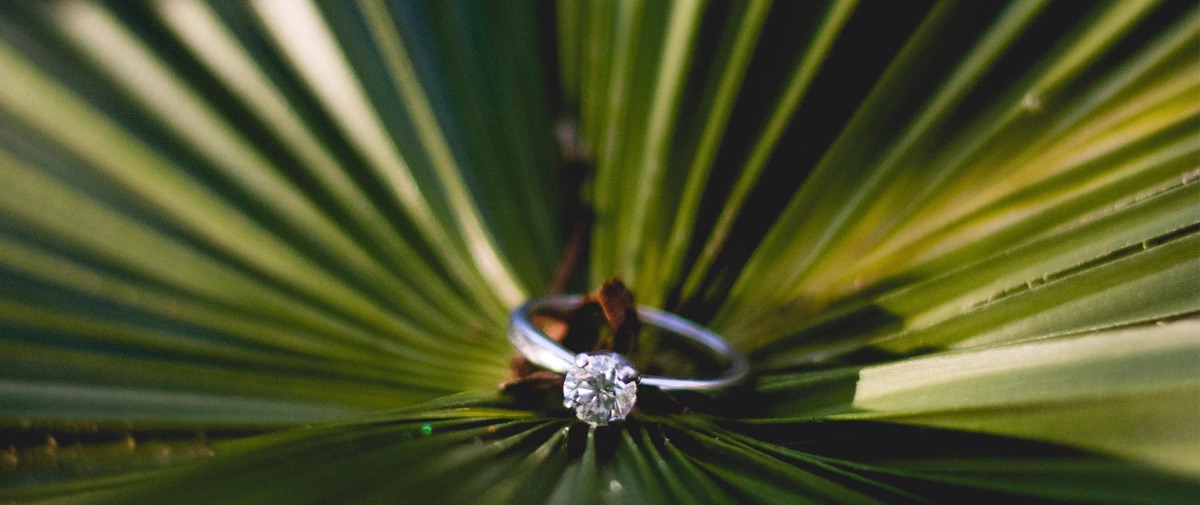close up of diamond ring on a palm leaf